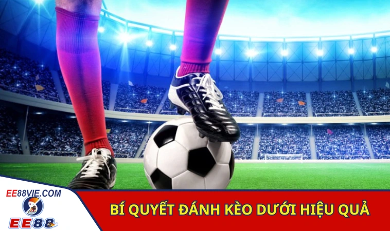 Bí kíp vào tiền cho cửa dưới đảm bảo thắng lớn