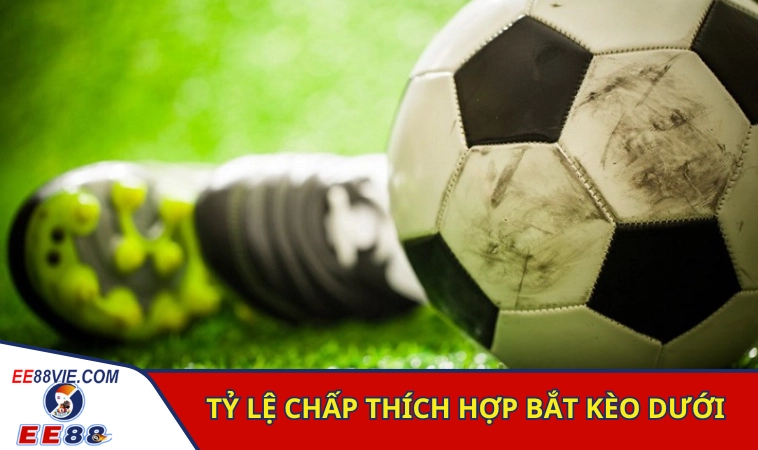 Các tỷ lệ chấp thích hợp khi bắt kèo kèo dưới