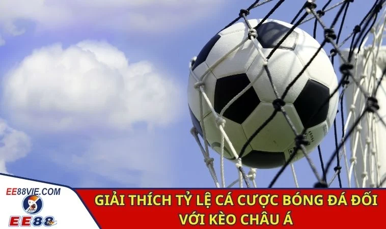 Giải thích tỷ lệ cá cược bóng đá đối với kèo Tài/Xỉu