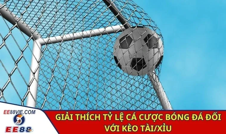 Giải thích tỷ lệ cá cược bóng đá đối với kèo châu Á