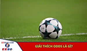 Lý giải tường tận odds là gì?