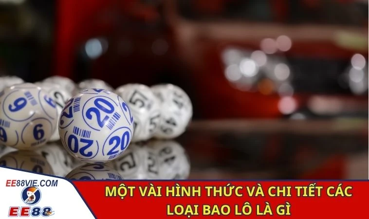 Bao Lô Là Gì - Giải Thích Chi Tiết Cho Người Mới Tìm Hiểu 3 Một vài hình thức và chi tiết các loại bao lô là gì