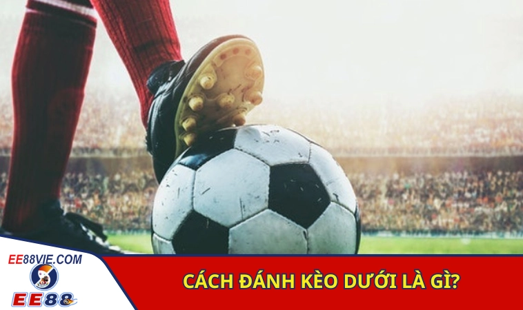 Tìm hiểu nhanh cách đánh kèo dưới là gì?