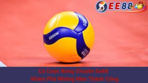 Cá Cược Bóng Chuyền Ee88 - Khám Phá Những Mẹo Thành Công