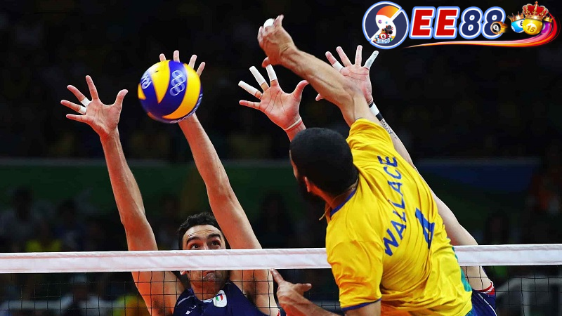 Những mẹo cá cược bóng chuyền hiệu quả trên ee88