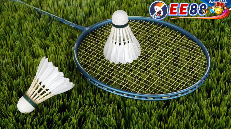 Tầm quan trọng của cá cược cầu lông ee88